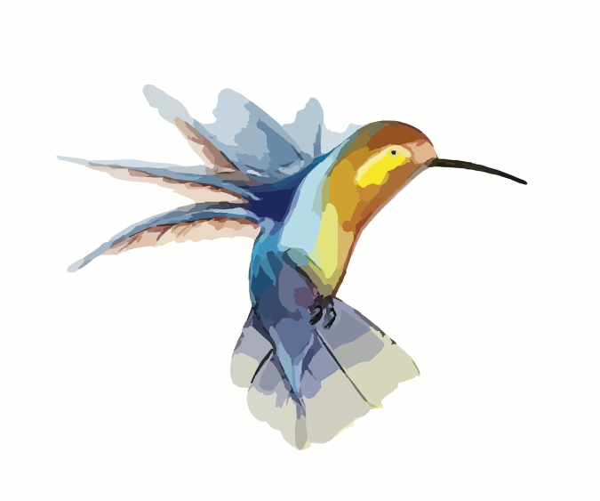 hummingbird-295026_1280